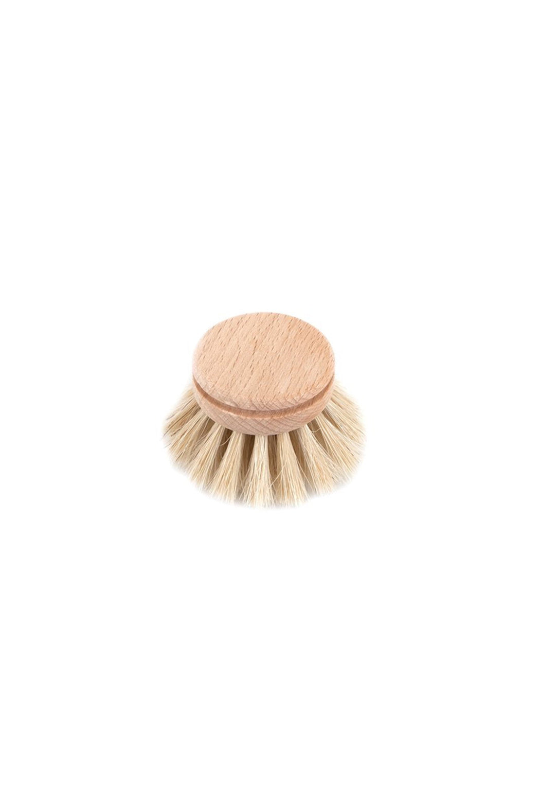 Everyday Dish Brush Refill