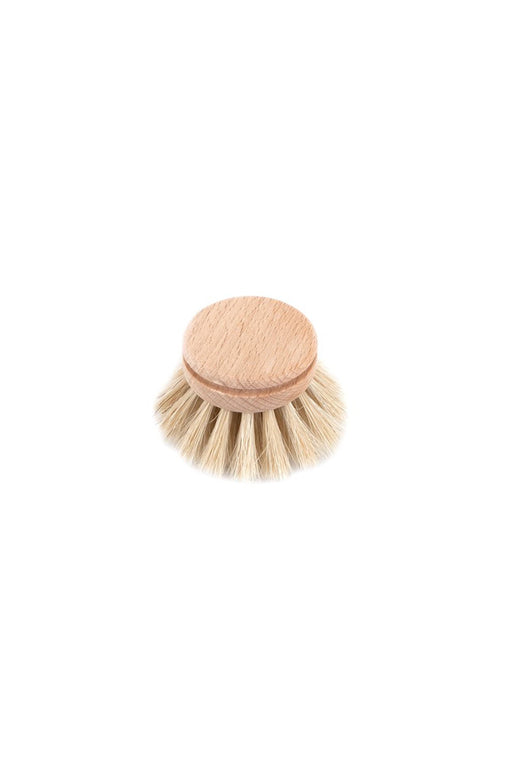 Everyday Dish Brush Refill