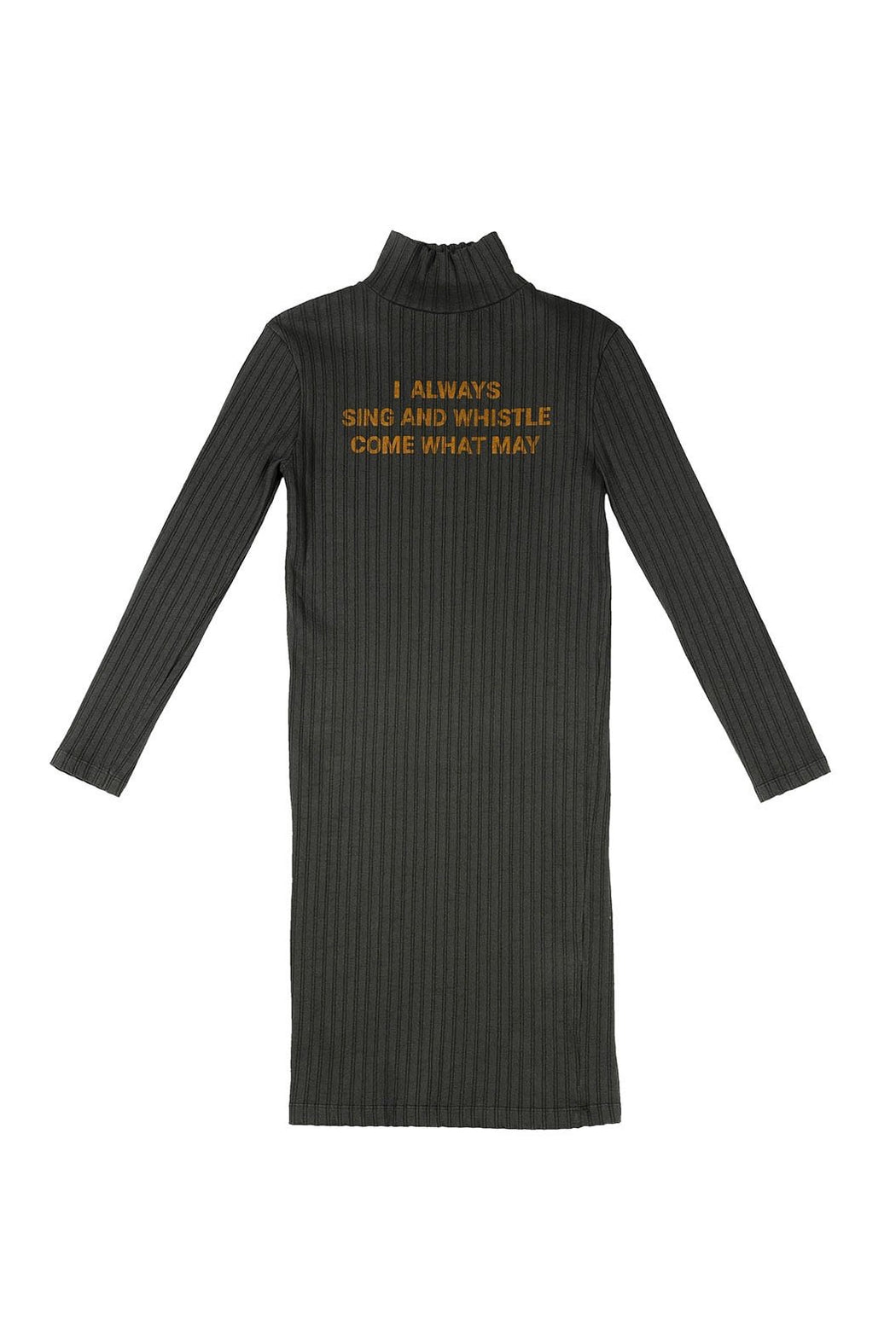 Sing and Whistle Dress