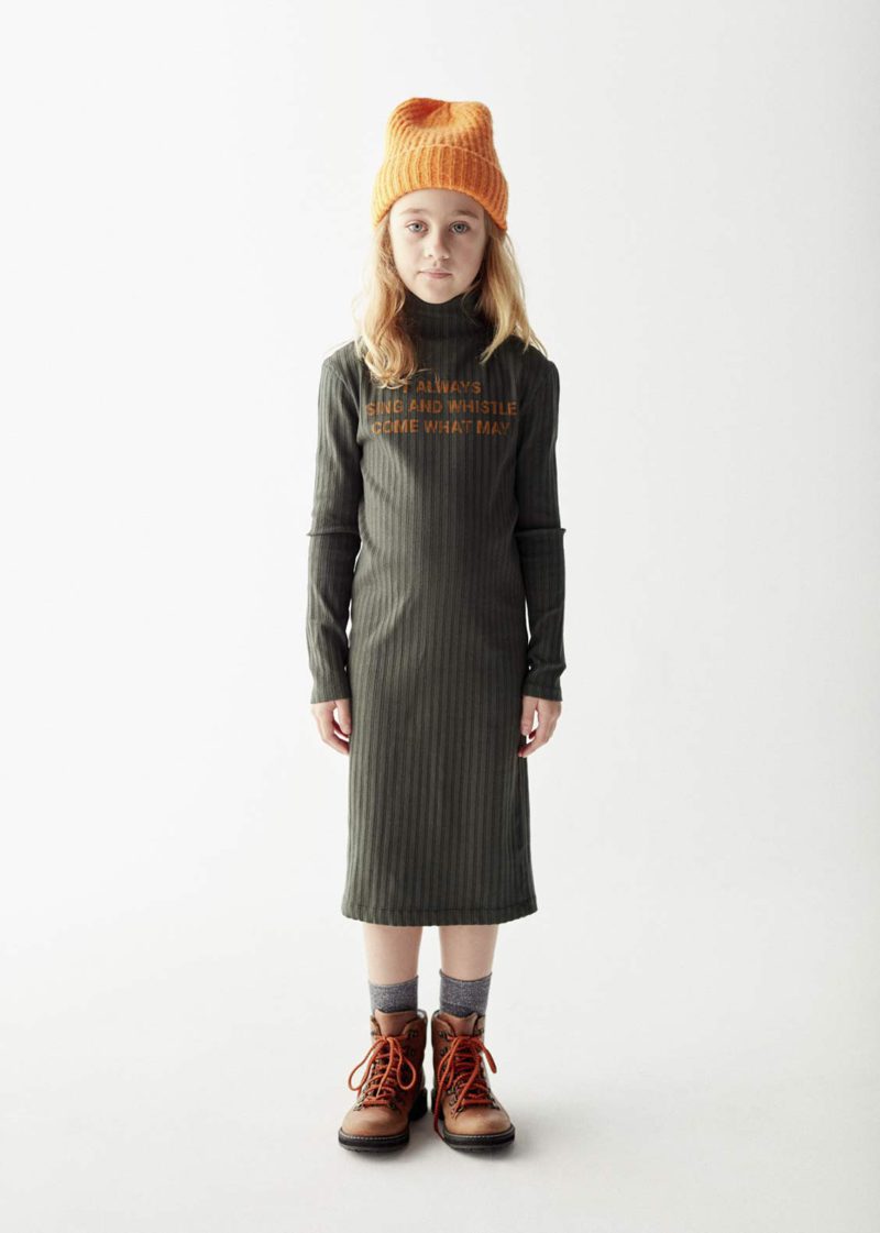 Sing and Whistle Dress
